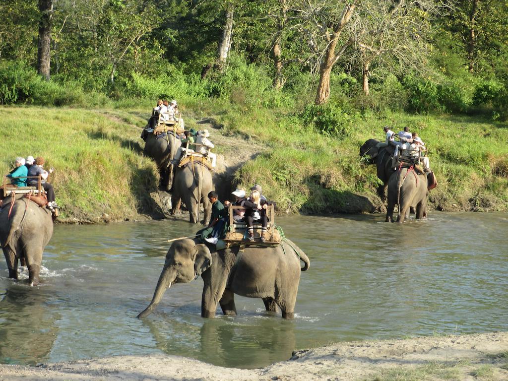 Temple Tiger Green Jungle Resort Kawasoti 외부 사진