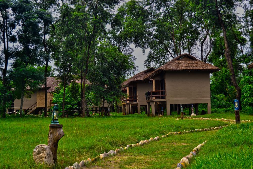 Temple Tiger Green Jungle Resort Kawasoti 외부 사진