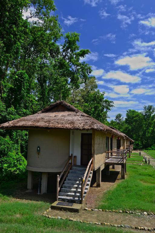Temple Tiger Green Jungle Resort Kawasoti 객실 사진