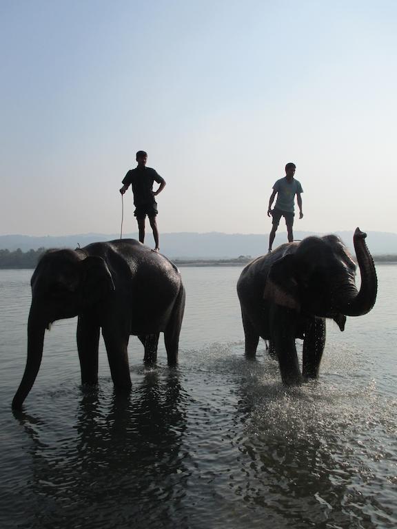 Temple Tiger Green Jungle Resort Kawasoti 외부 사진